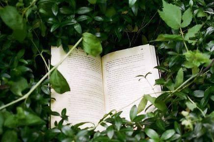 详解教育部中高考改革：未来3年，务必重视这三大学科！