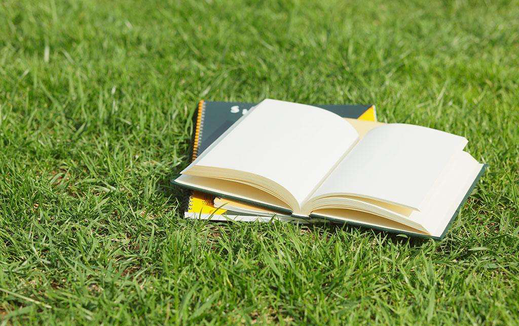 当新高考撞上新高一