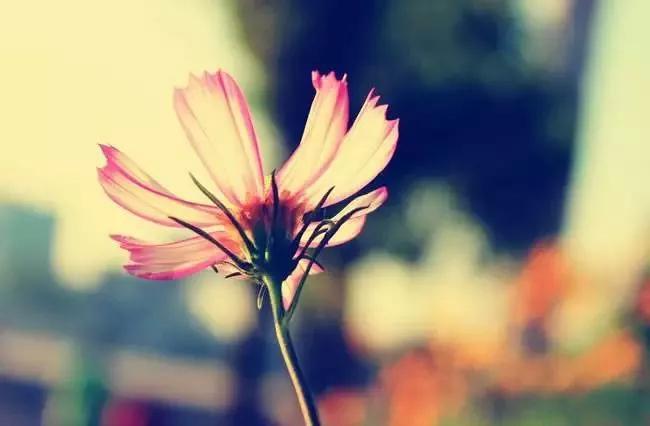 原来，填个志愿也这么多坑！