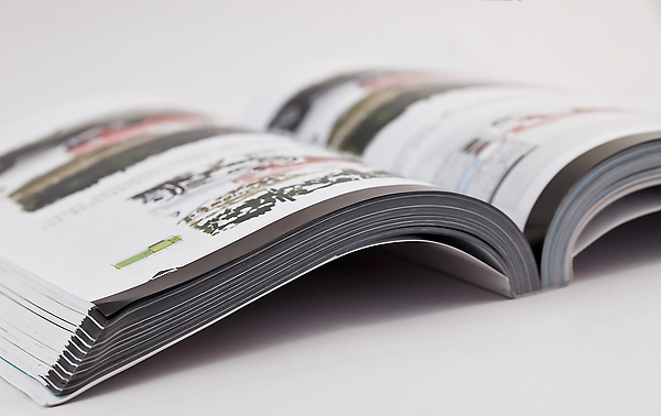 这个寒假，读书才是正经事！