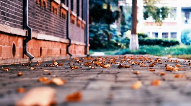 新高考大变化，对这五类人群不利