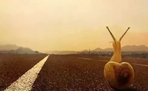 高考如果不累，你的梦想岂不是太廉价？