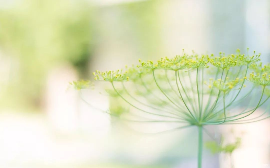 哈师大附中名师解读2018高考《考试大纲》（ 物化生）