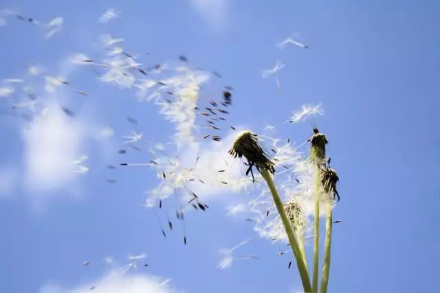 高考理综答题时间如何分配？