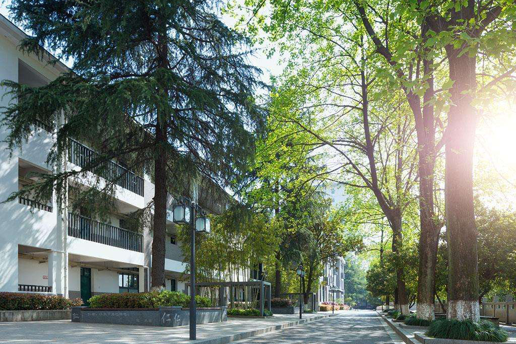 高考报考 | 三大“专项计划”详解