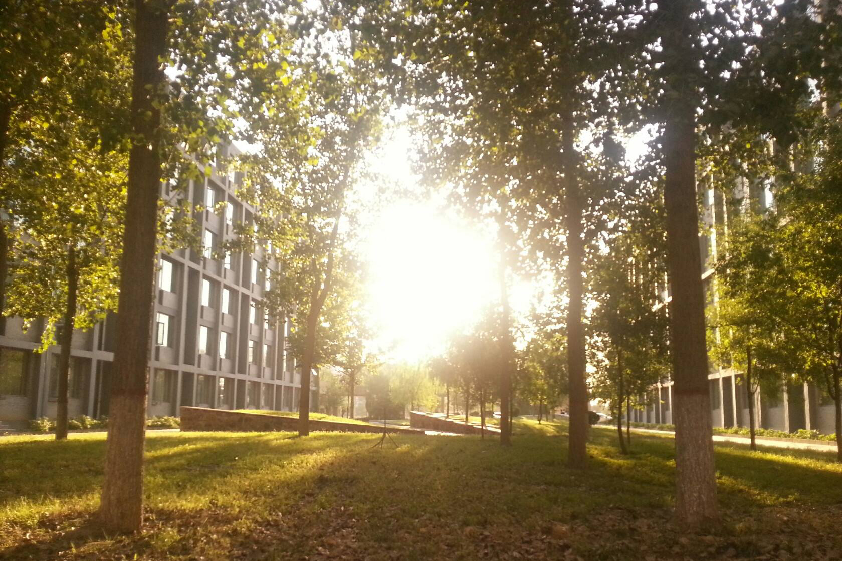 高考抢分最牛的九大方法