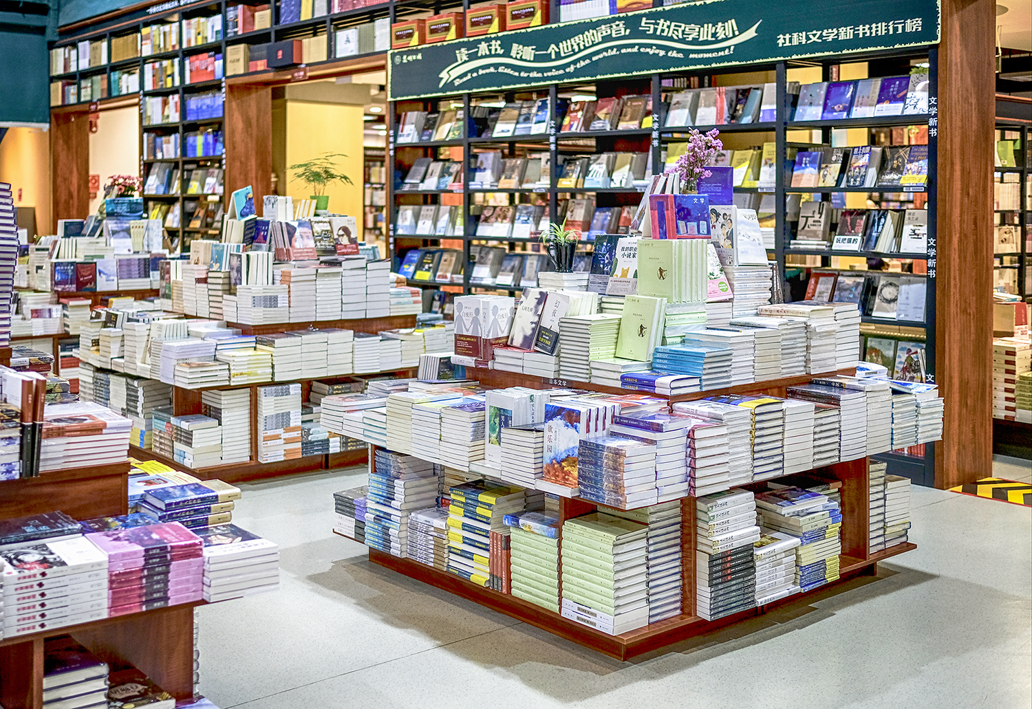 寻找最美书店,享静谧阅读时光