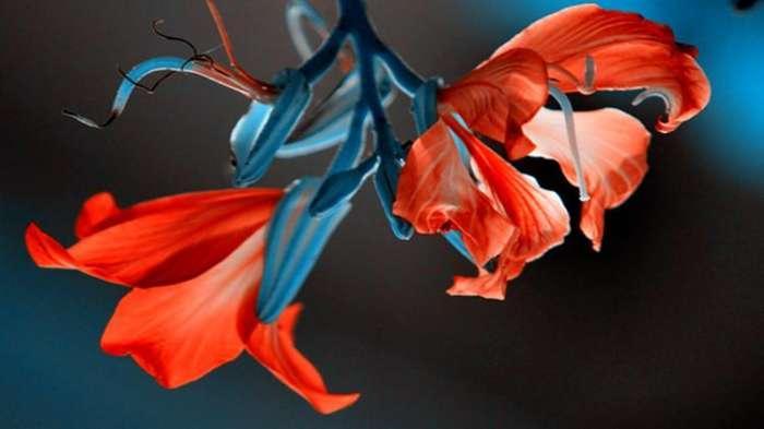 面对新高考，高一新生选科该掌握哪些信息？