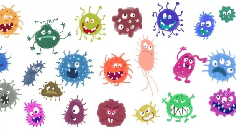 高中生物学习中的49个成语，个个都暗藏超细知识点