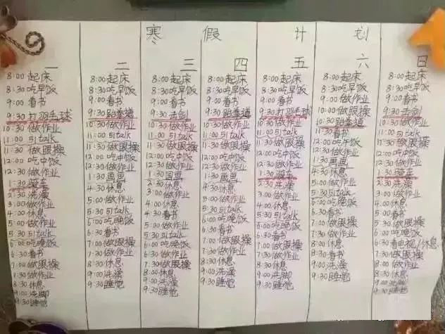 学霸寒假计划表使用指南