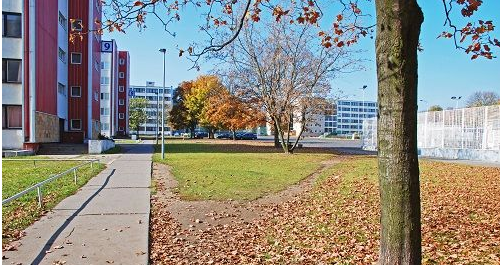 同样都是名牌高校，985和211高校哪个更好？