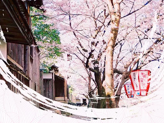 备战2019高考：3月大事记