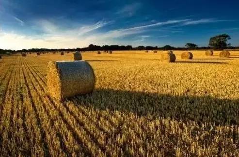 【作文素材】5个小故事，瞬间醒悟人生