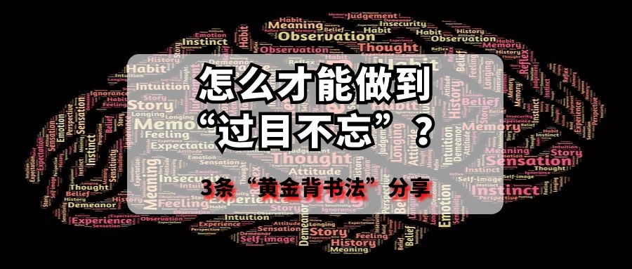 怎么才能做到“过目不忘”？