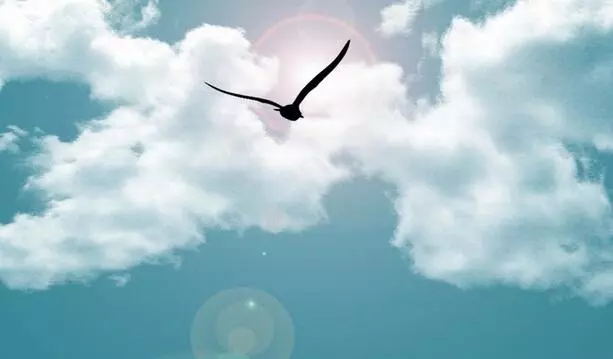 艺考生文化课与一般文理科生文化课补课方式有什么不同？