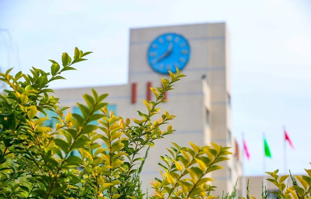 榜单：19个大学之最