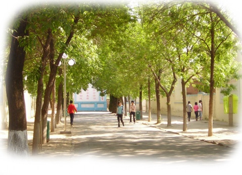 今年北京高考时间由2天变为4天