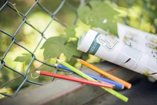 强基计划 VS 综合评价政策，高中生填报建议