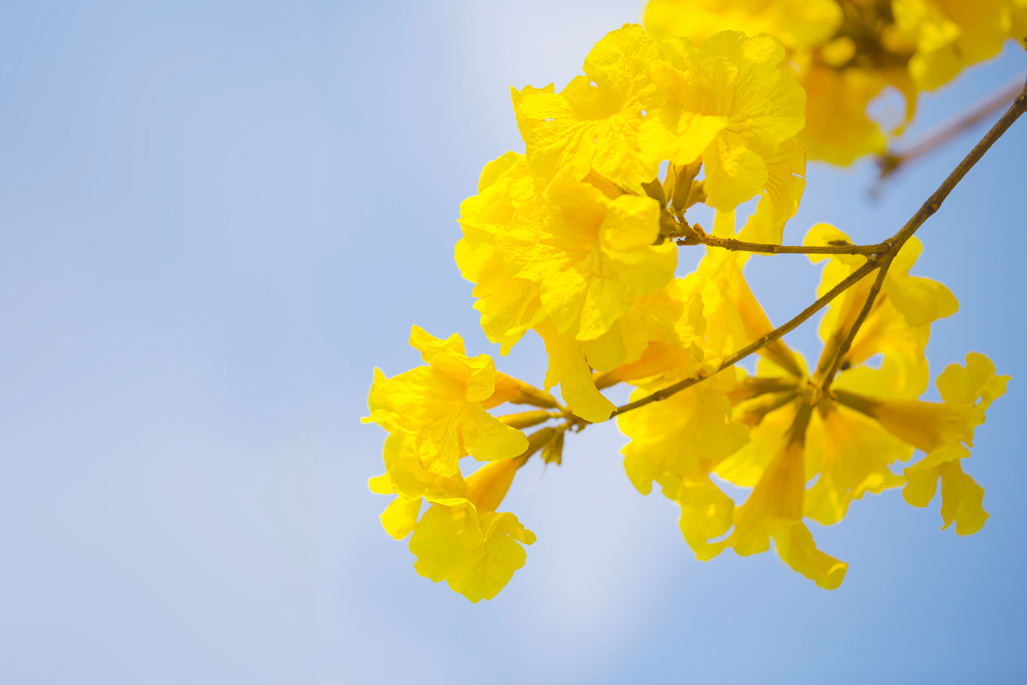 一周回顾丨教育行业大事件