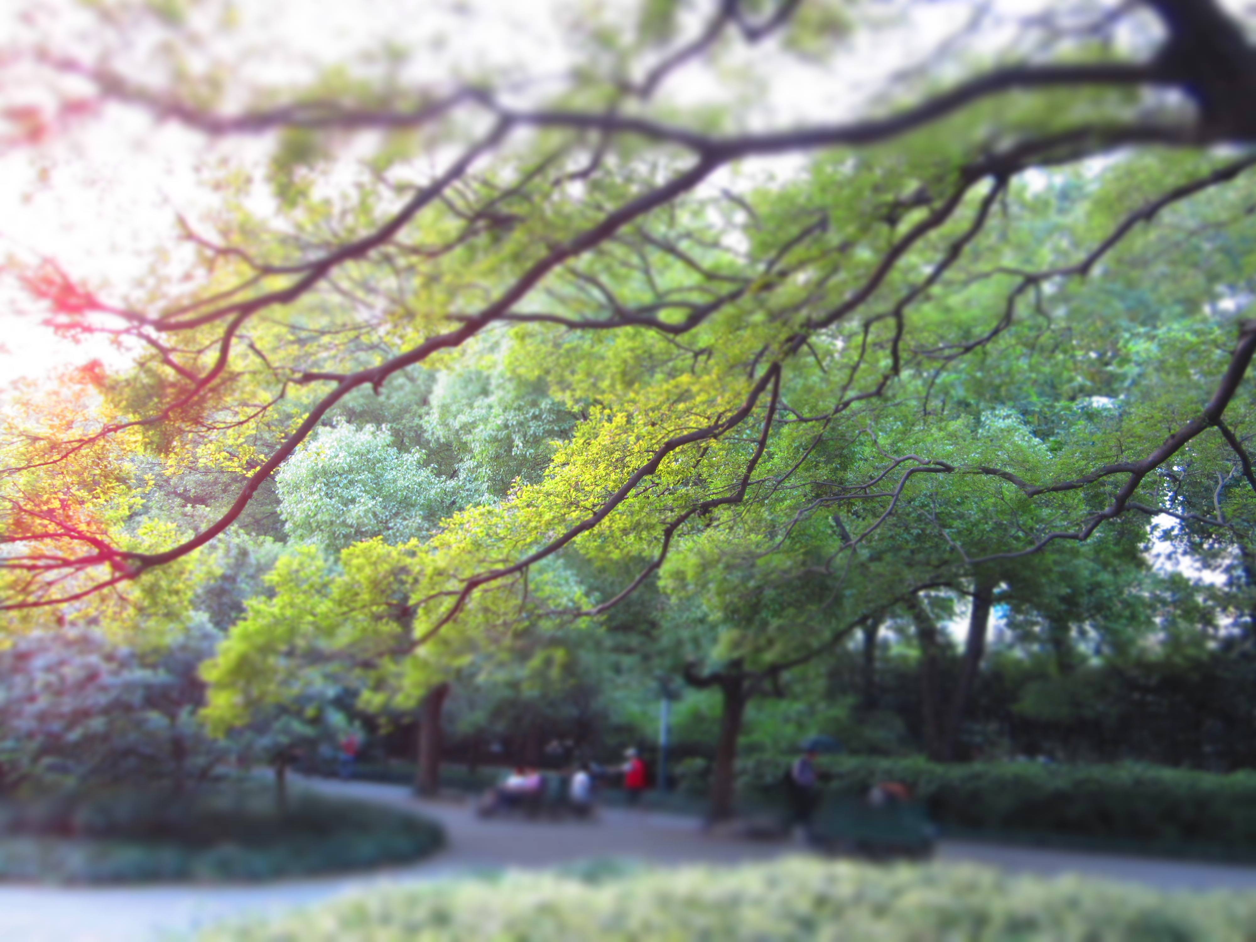 喜欢一座城市，8天旅行怎么够？