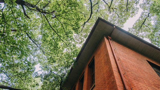 理科和工科的区别