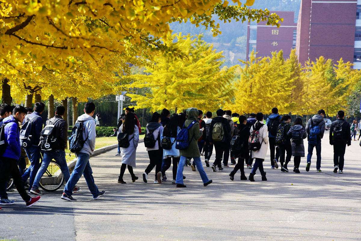 最后两百多天做好3件事，高考一举考过600+