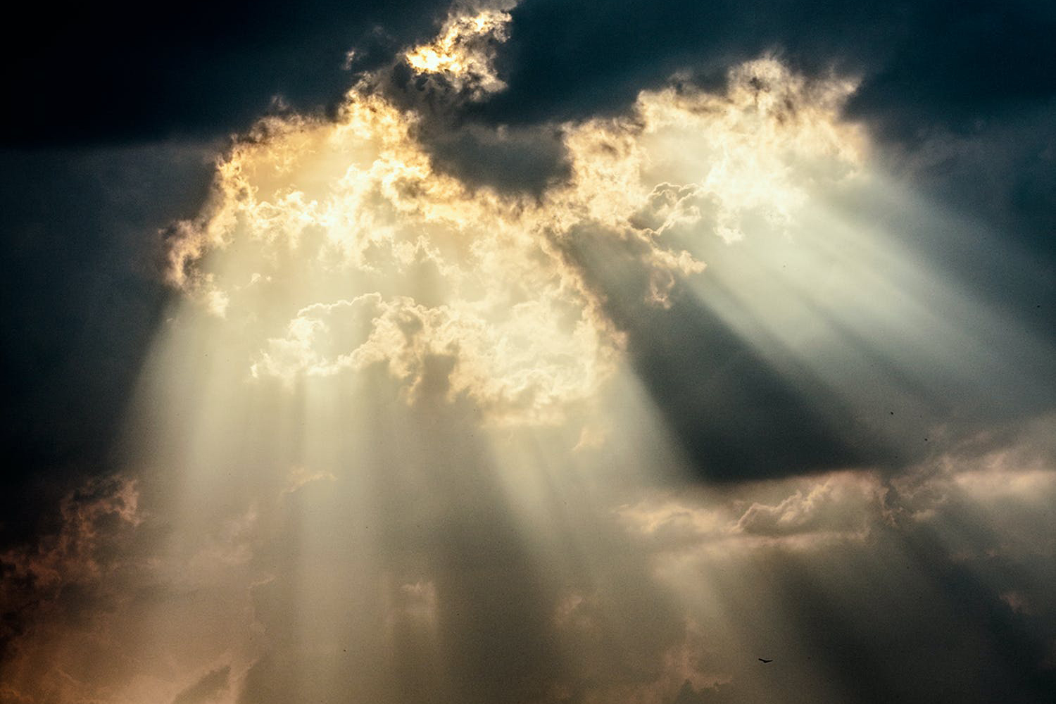 进入二轮复习，却越学越差可怎么办？