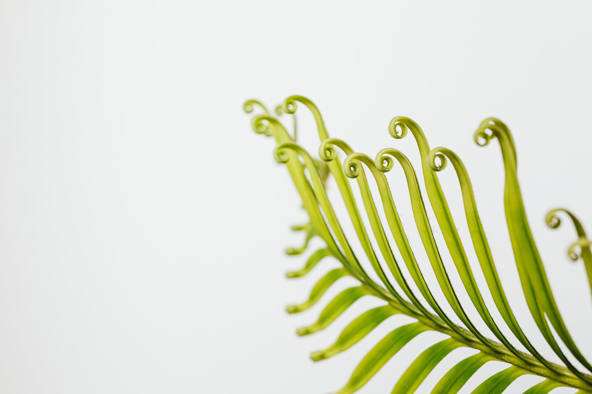 初中成绩好，为什么高中突然变差了？