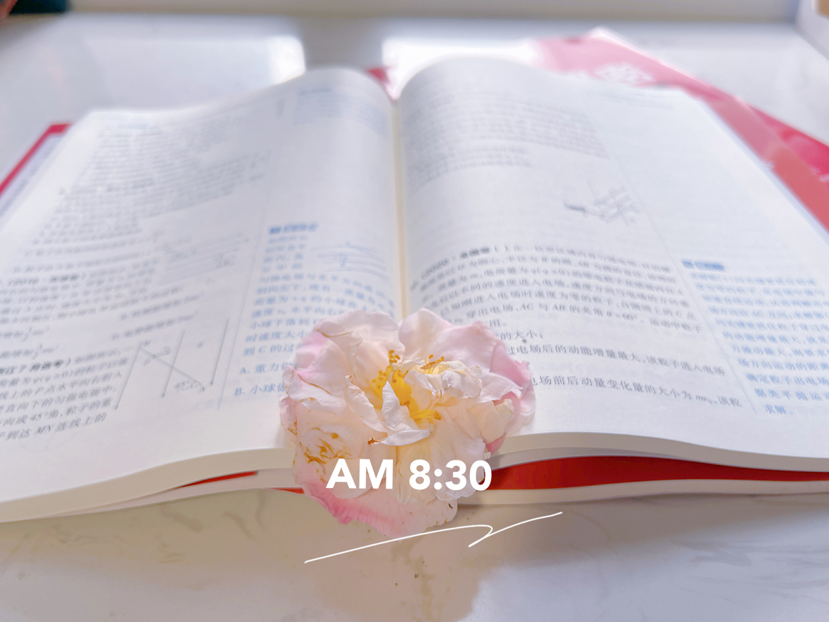 书页间的四月来信