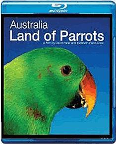 澳洲野生鹦鹉