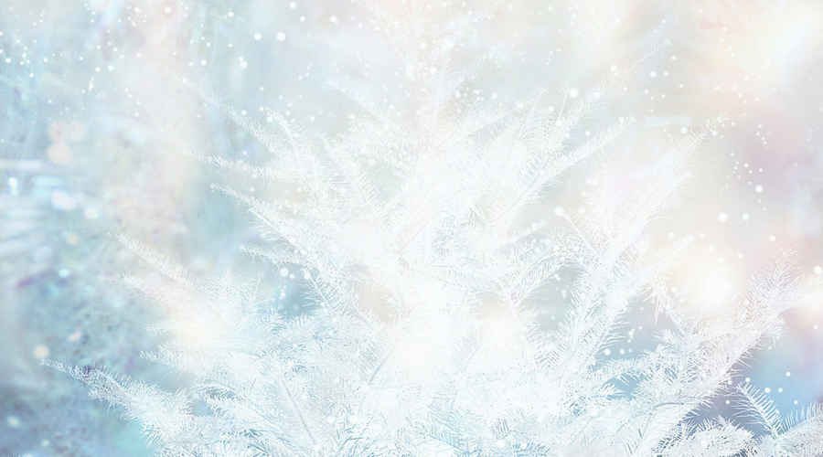 550为梦想奔跑,坚持让改变发生