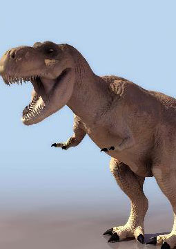 新鲜血液(New Blood)