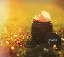 字差一个 意别万里