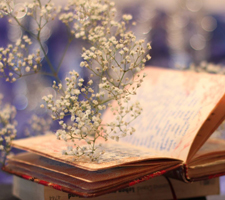 高考理综雷区（生物篇）